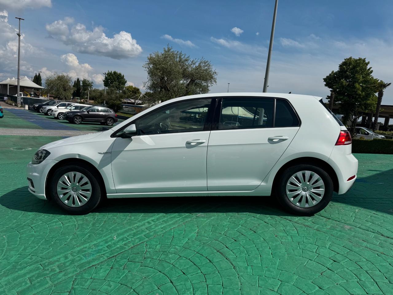 Volkswagen Golf 1.4 TGI 5p. Executive BlueMotion