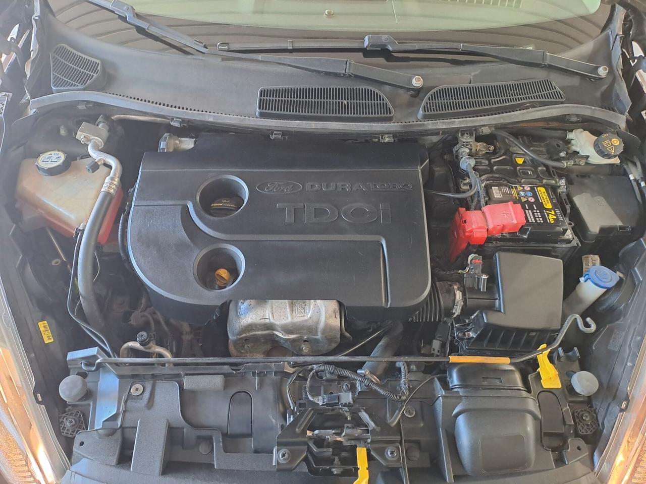 Ford Fiesta 1.5 TDCi 75CV 5 porte Titanium