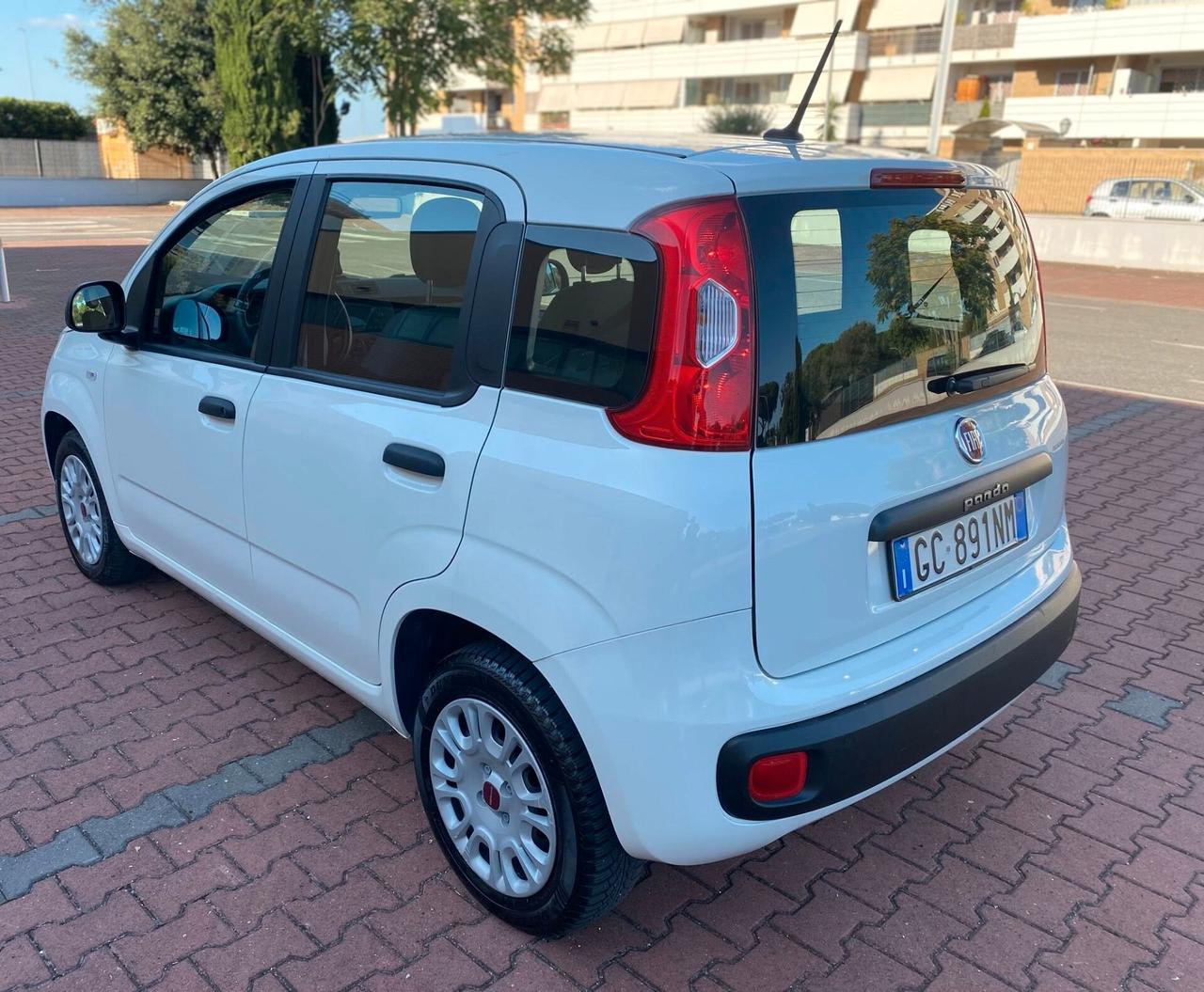 FIAT PANDA EASY 1.2cc IDONEA NEOPATENTATI