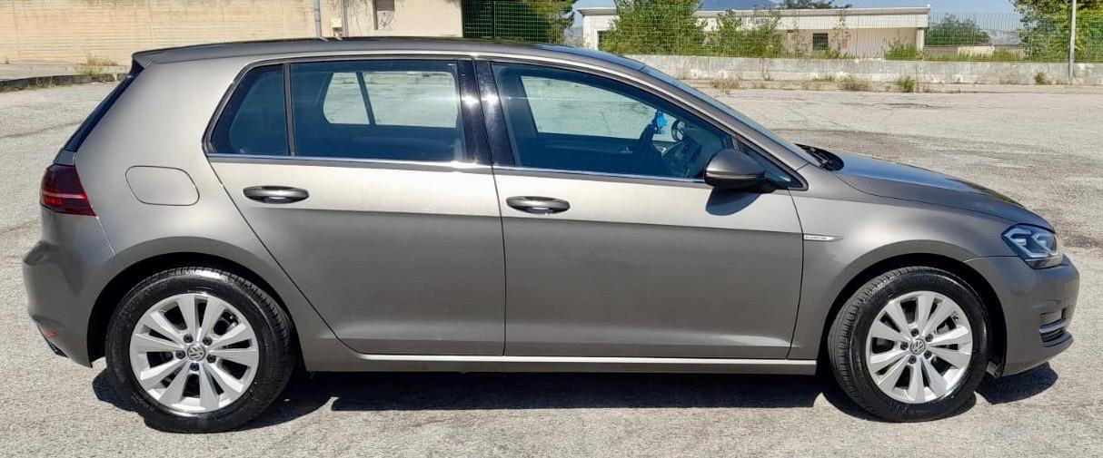 Volkswagen Golf 1.4 TGI 5p. Comfortline BlueMotion