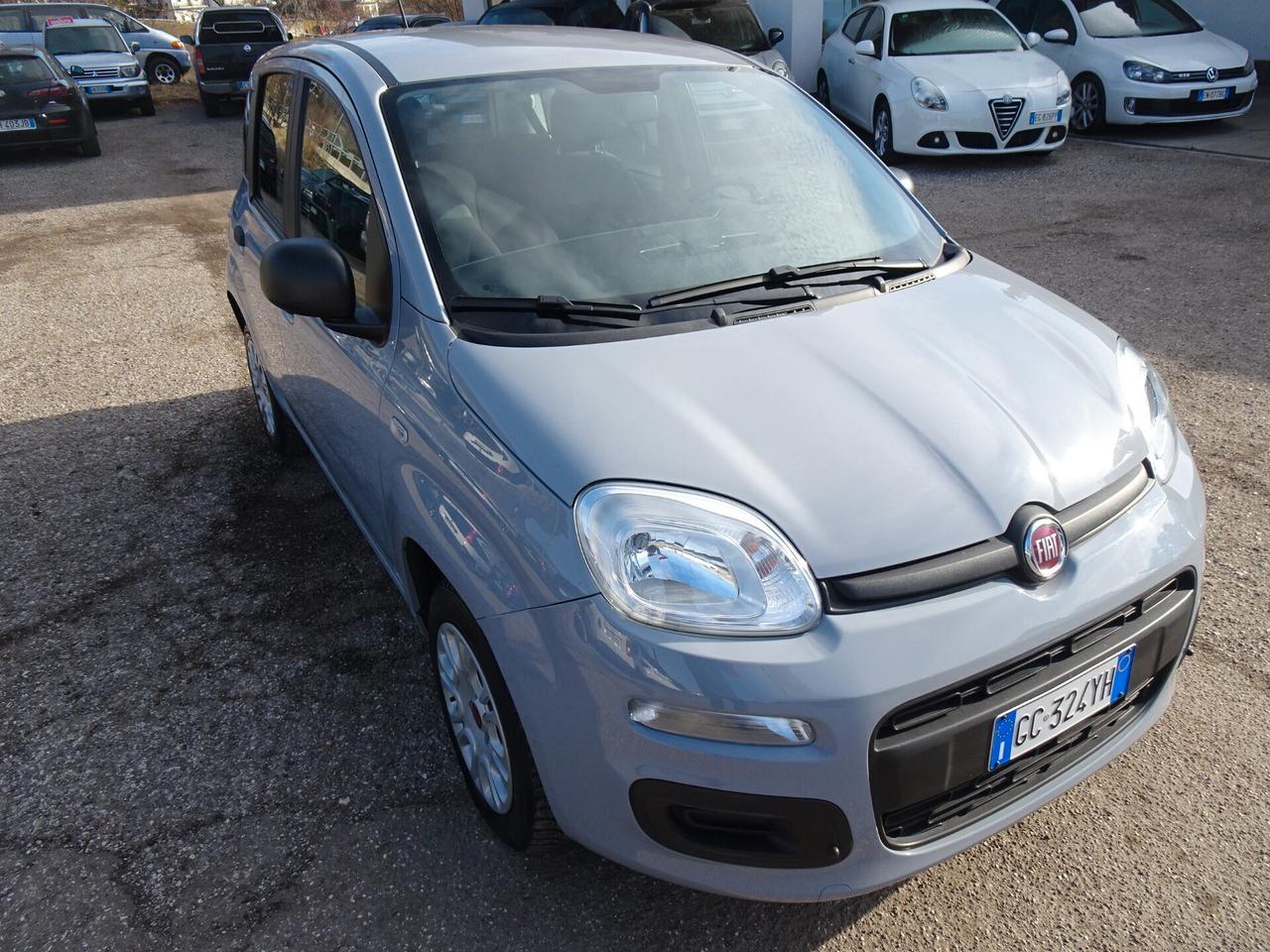 Fiat Panda Easy