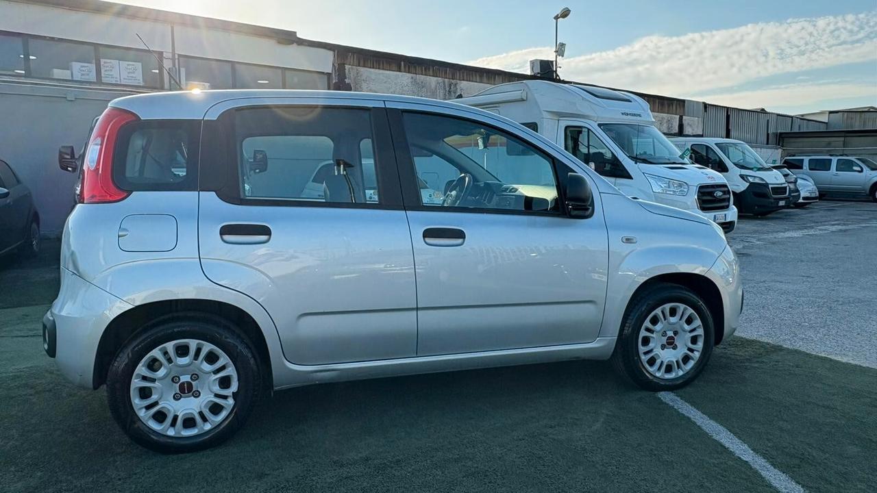 Fiat Panda 1.2 312PXA1A | BENZINA|169A4000 CC 1242 CV 69 KW 51 BERLINA, 5 P. (92816