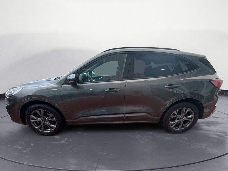 Ford Kuga 1.5 EcoBlue 120 CV aut. 2WD ST-Line