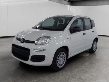 FIAT Pandina 1.0 firefly hybrid Pop s&s 70cv