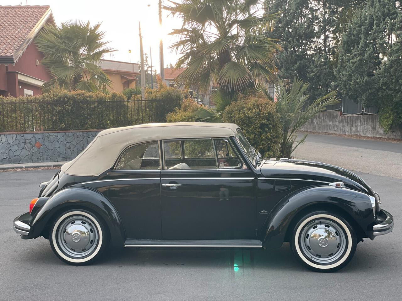 Volkswagen Maggiolino da vetrina