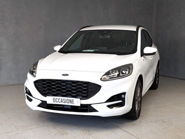 Ford Kuga 2.0 ecoblue 120cv Automatic ST-Line