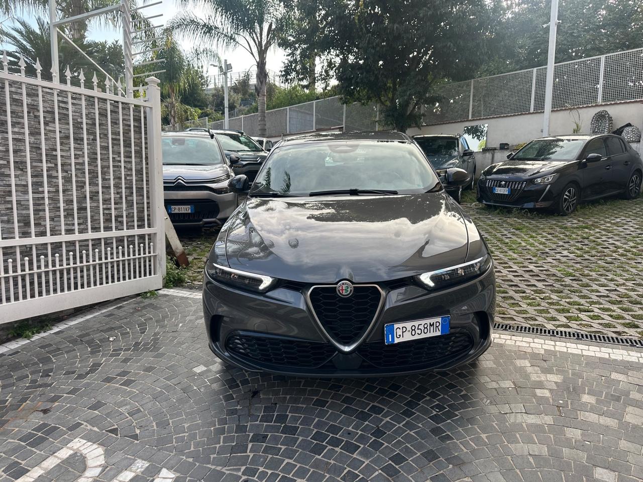 Alfa Romeo Tonale 1.6 diesel 130 CV TCT6 Ti