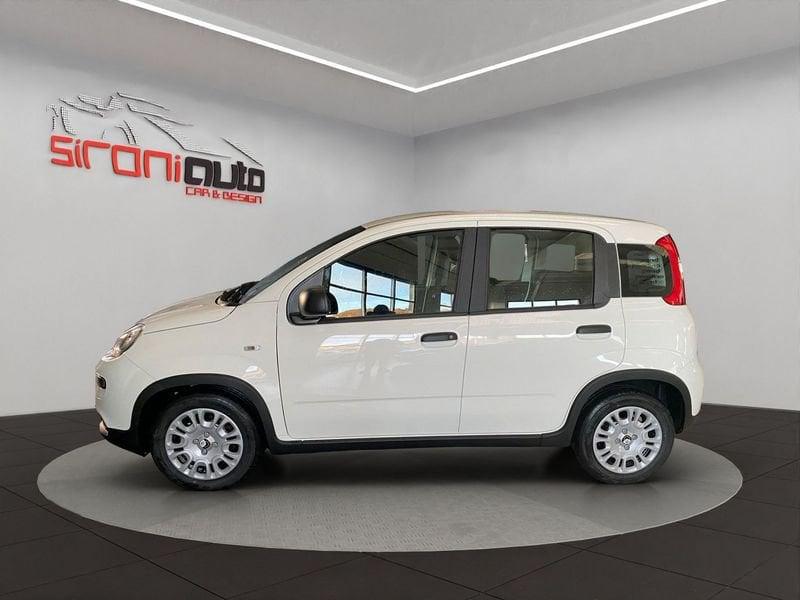 FIAT Pandina 1.0 firefly hybrid Icon s&s 70cv 5p.ti - PROMO SIRONIAUTO+