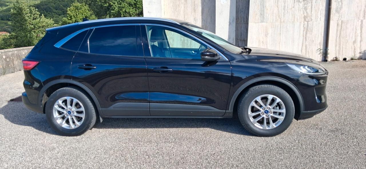 Ford Kuga 1.5 EcoBlue 120 CV 2WD Titanium