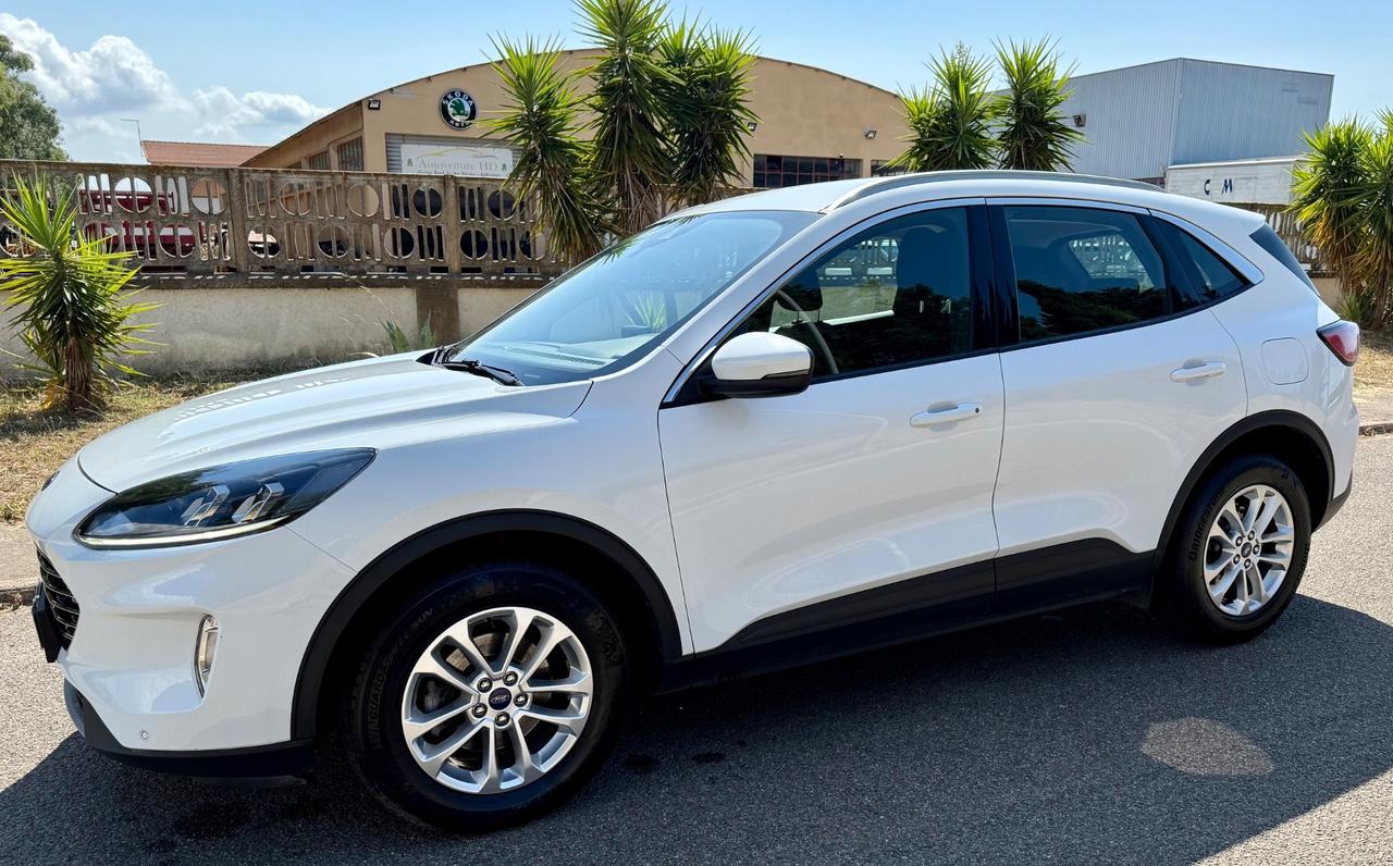 Ford Kuga 1.5 EcoBlue 120 CV aut. 2WD Titanium Business