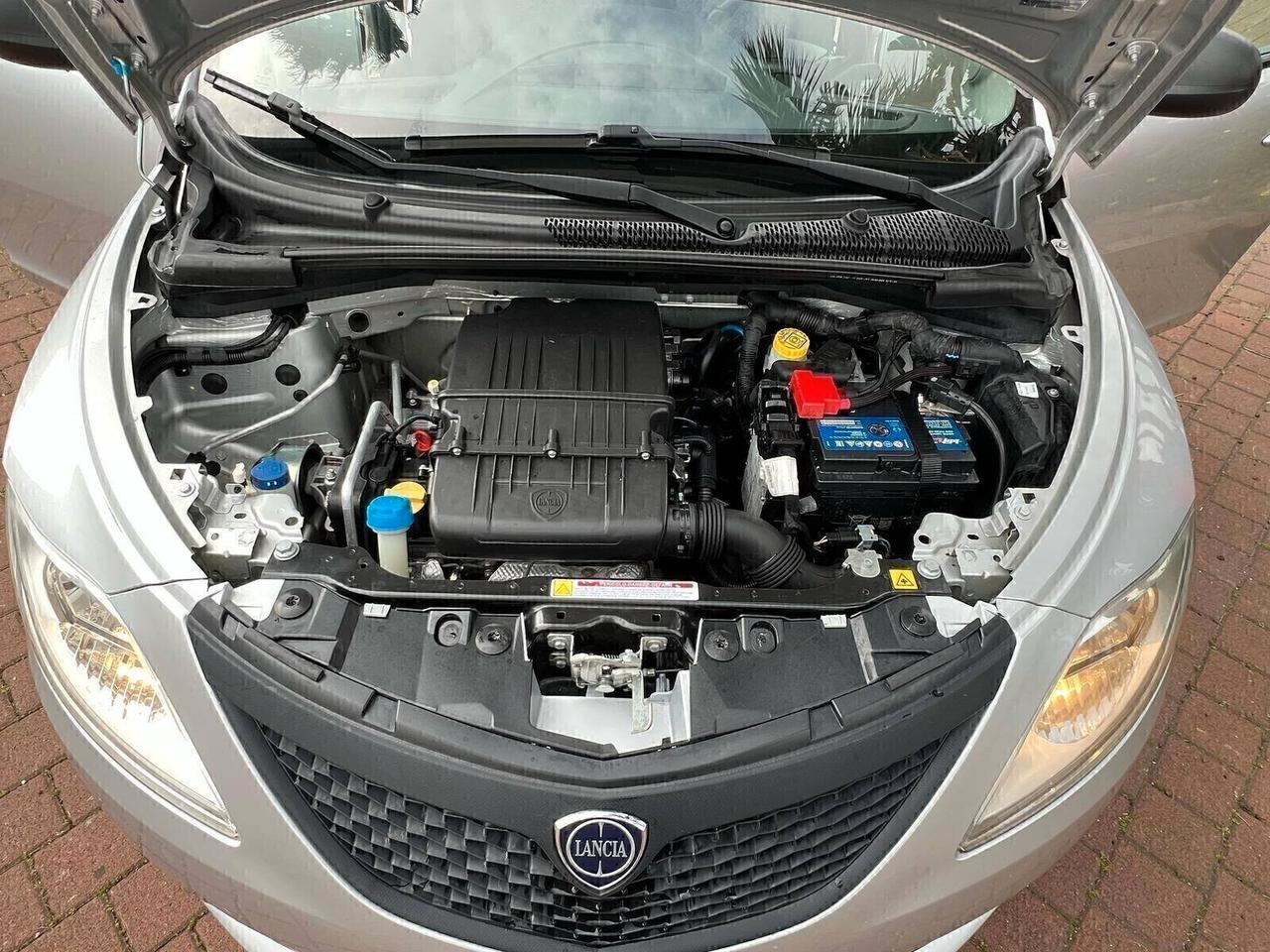 Lancia Ypsilon 1.2 69 CV 5 porte S&S Platinum