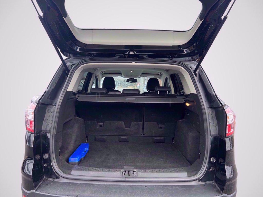 FORD Kuga 1.5 tdci Edition s&s 2wd 120cv powershift del 2019
