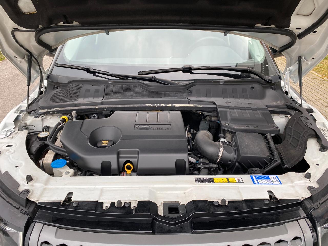 Land Rover Range Evoque 2.0 TD4 150 CV 5p. Pure