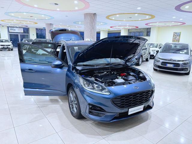 FORD Kuga 2.0 EcoBlue 120 CV aut. 2WD ST-Line