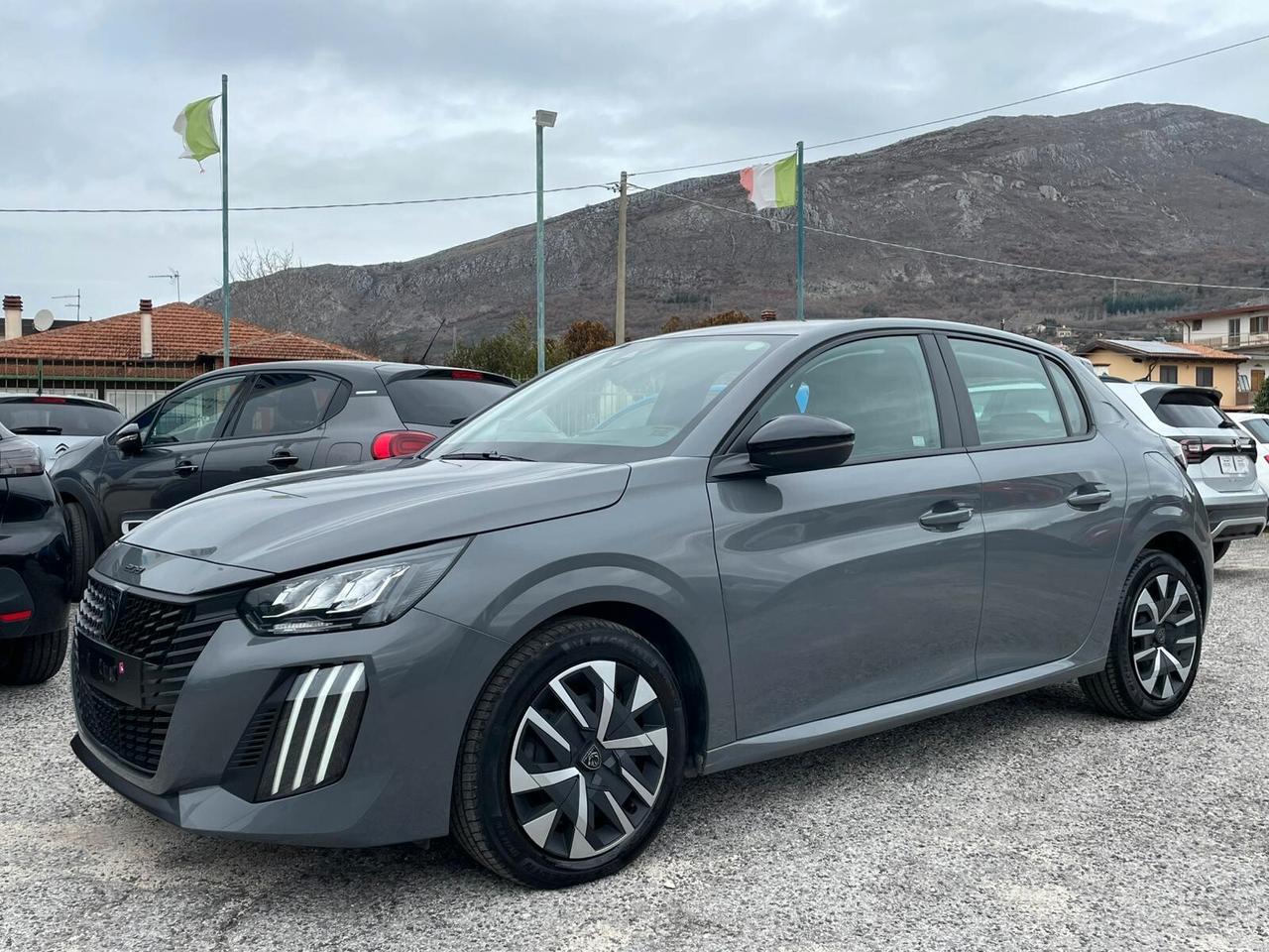 Peugeot 208 PureTech 100 Stop&Start 5 porte Active Pack Navi 2024