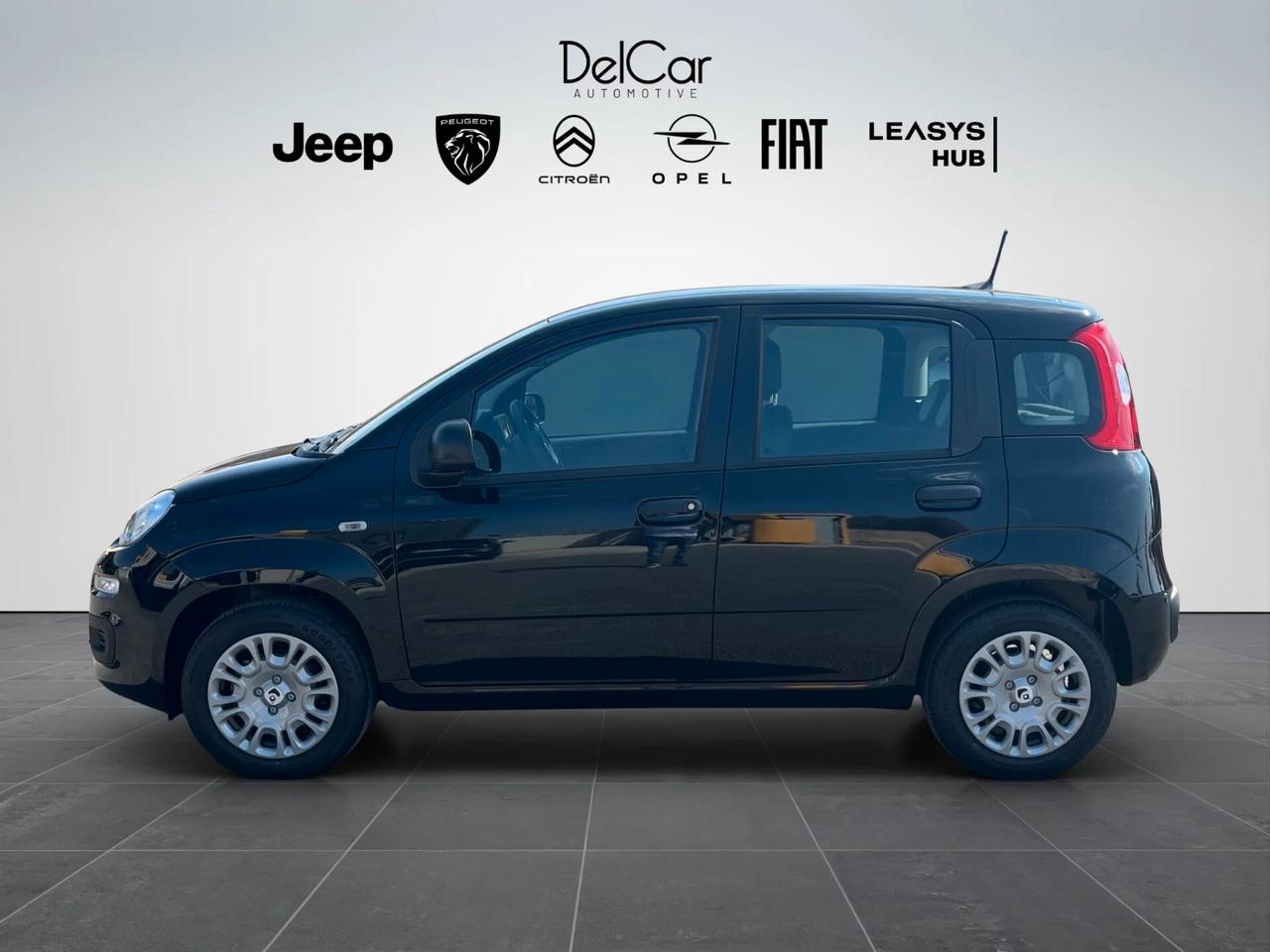 Fiat Panda Pandina 1.0 FireFly 65 CV Hybrid Icon
