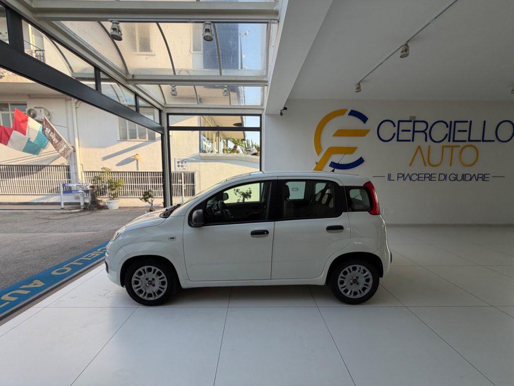 Fiat Panda 1.0 S&S Hybrid easy TUA DA €120,00 MENSILI ANT.0