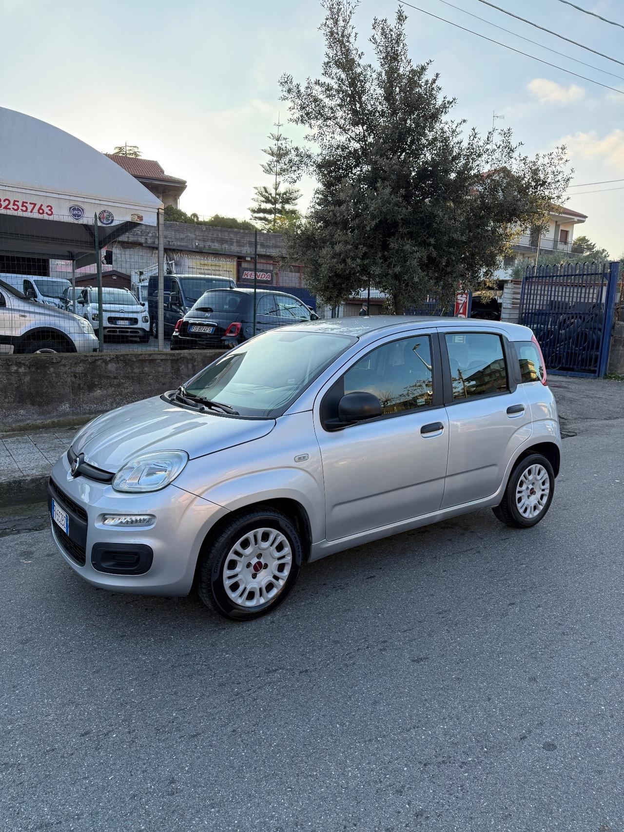 Fiat Panda 1.2 benzina 2019