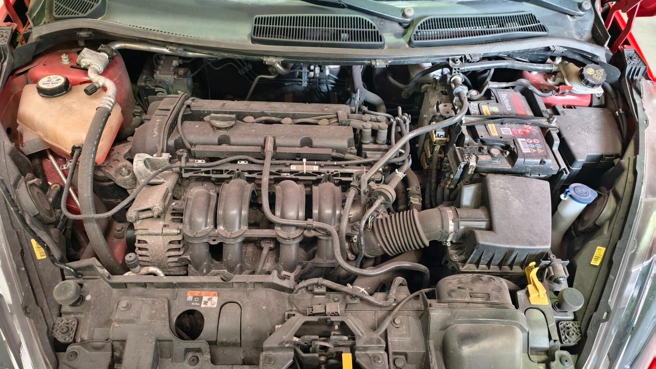 Ford Fiesta Plus 1.2 60CV 5 porte OK NEOPATENTATI