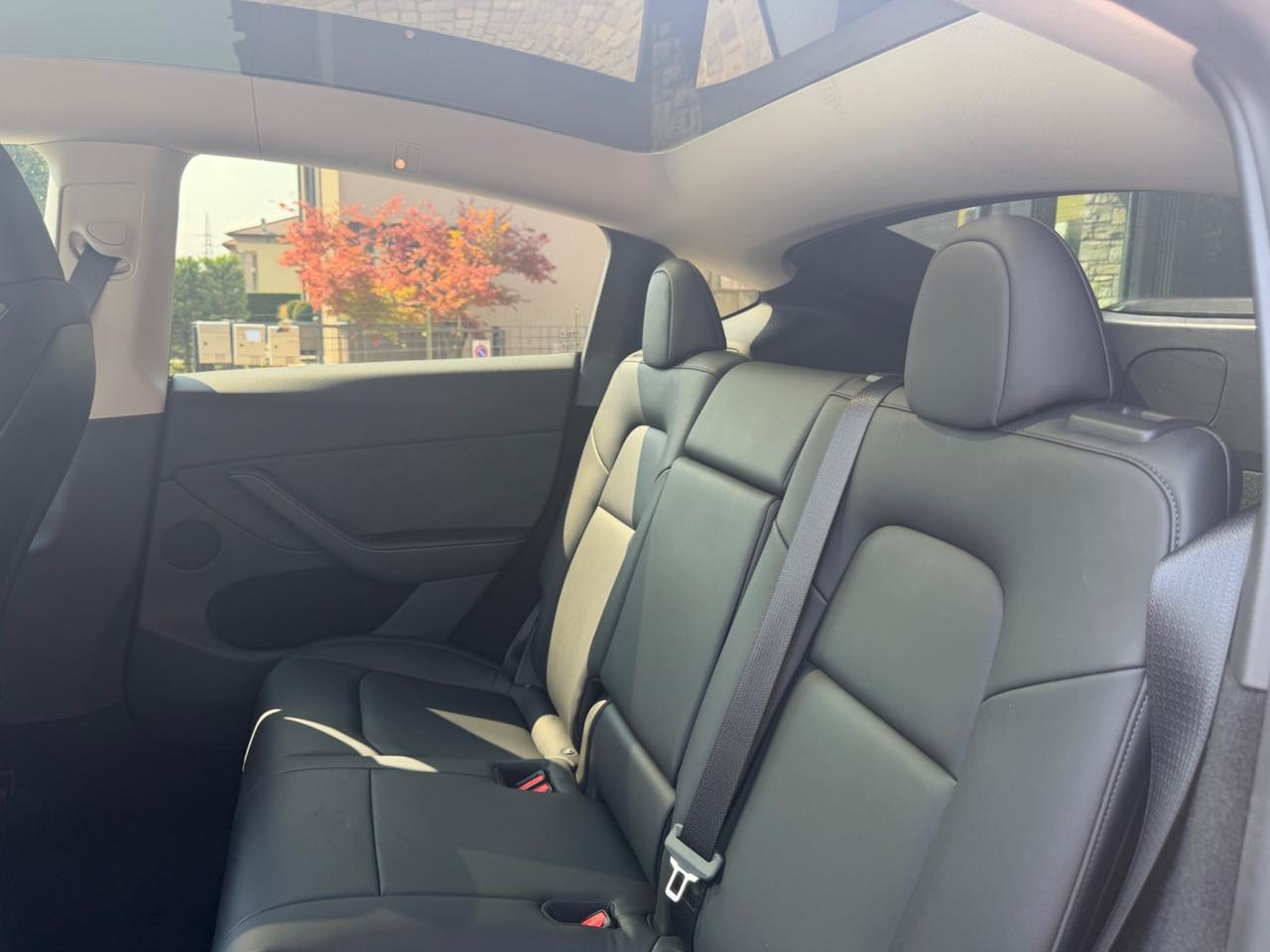 Tesla Model Y RWD