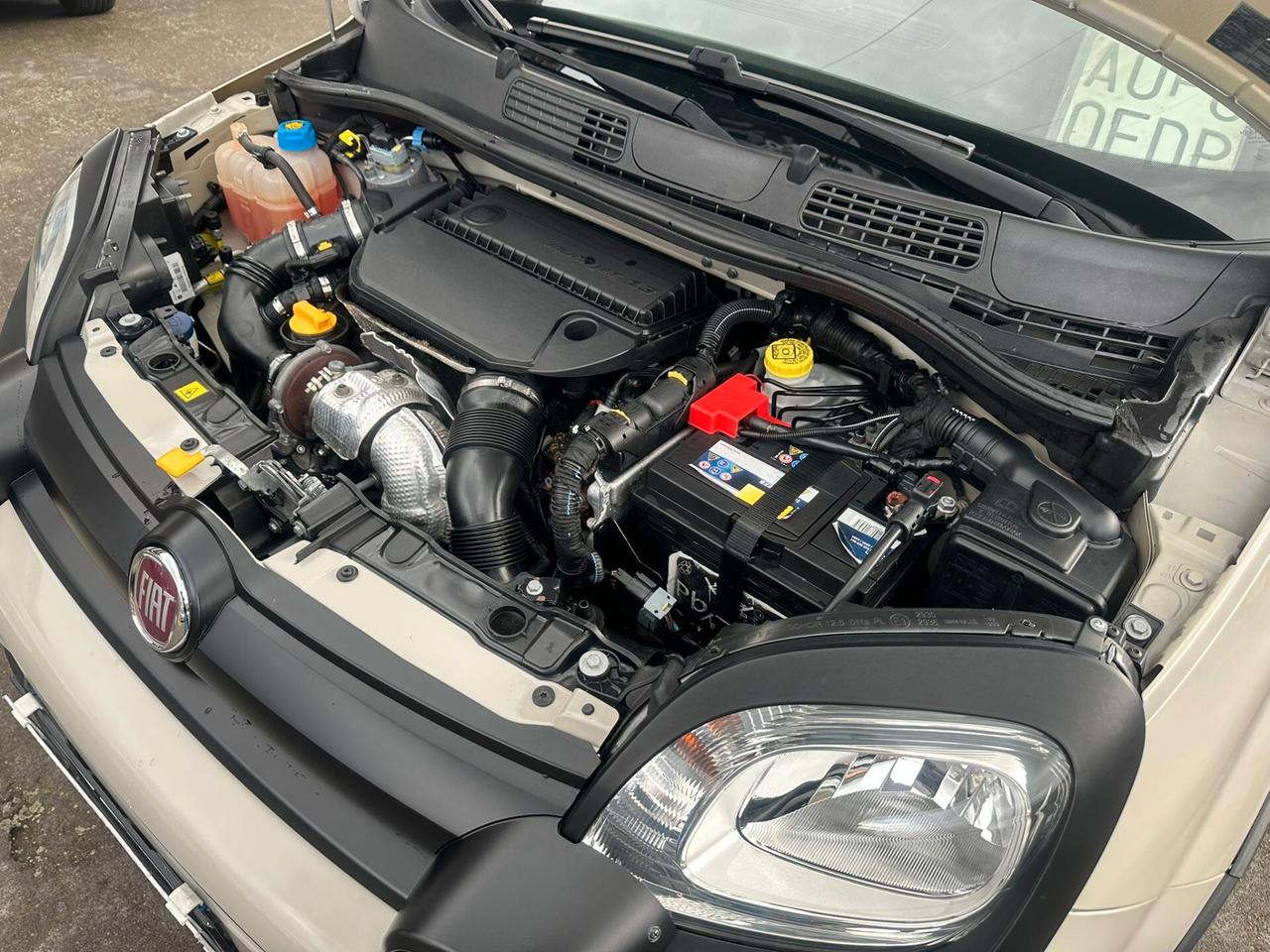 Fiat Panda CROSS 1.3 MJT 4x4 80 cv