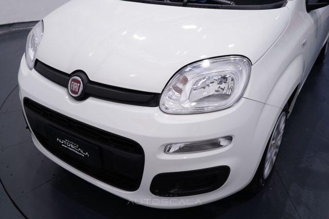 FIAT New Panda My25 1.0 FireFly S&S Hybrid