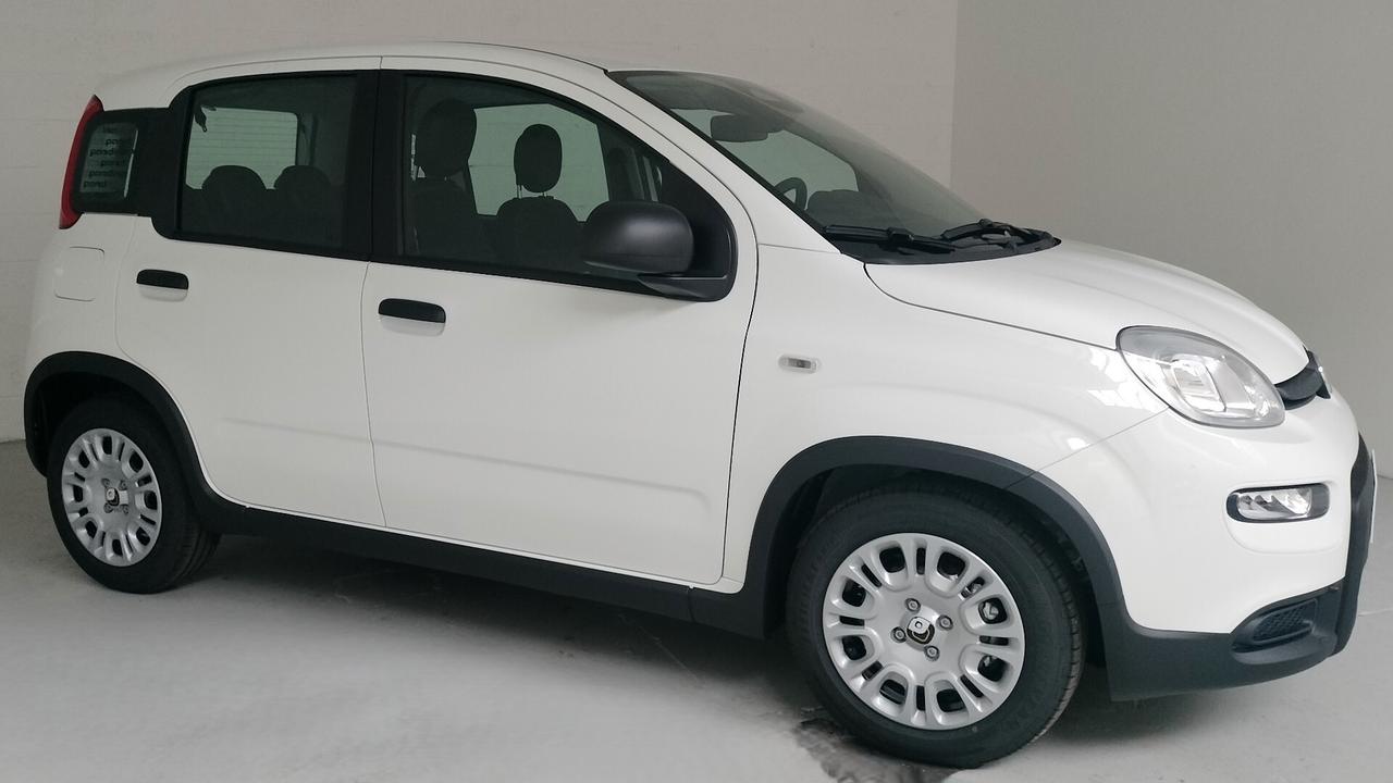 Fiat Panda PANDINA 1.0 FireFly S&S Hybrid NEOPATENTATO