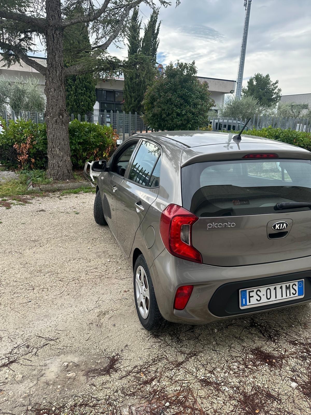 Kia Picanto 1.0 12V EcoGPL 5 porte Active