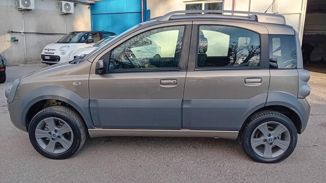 Fiat Panda cross 4 × 4-1.3 mjt-2007