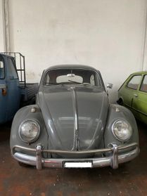 VOLKSWAGEN Maggiolone MAGGIOLONE