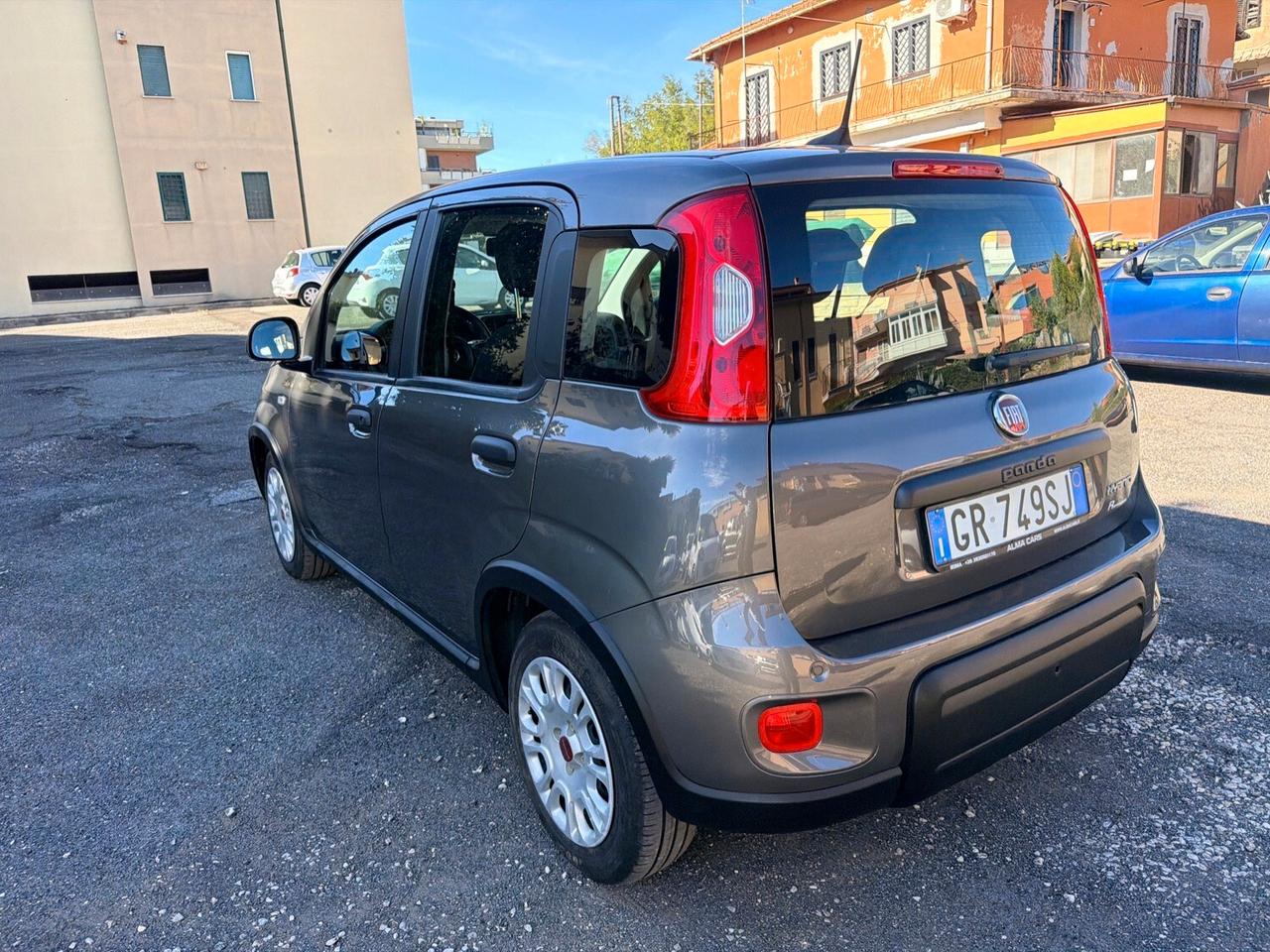 Fiat Panda 1.0 FireFly Hybrid 70cv 5 posti