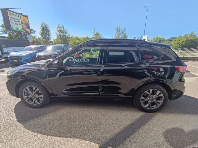FORD Kuga 1.5 EcoBoost 150 CV 2WD ST-Line