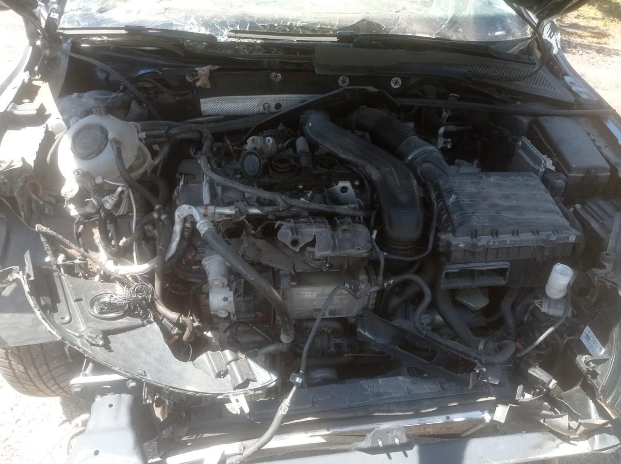 Volkswagen Golf 1.5 TGI 5p. Executive BlueMotion Technology-2019