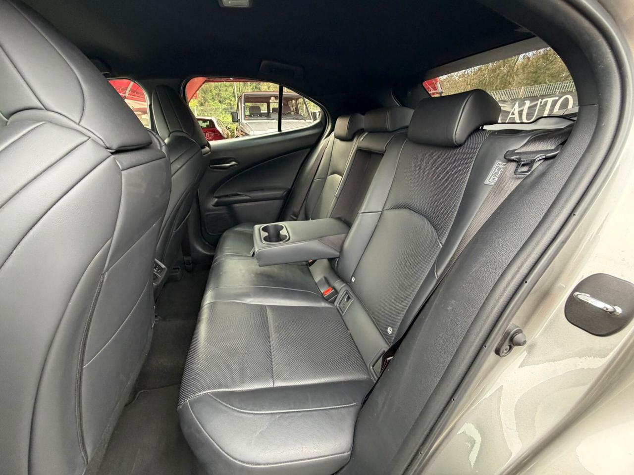 Lexus UX Hybrid 4WD Luxury