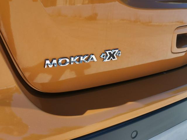 OPEL Mokka X 1.6 CDTI Ecotec 136CV 4x4 S&S Innovation VENDUTA