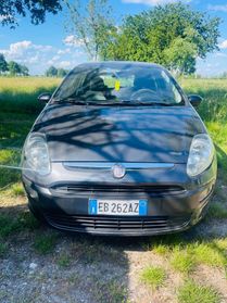 Fiat Punto Evo 1.4 5 porte Active