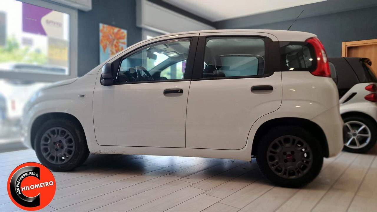 Fiat Panda 1.2 Lounge 5posti Navi ZERO SINISTRI