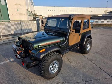 JEEP Wrangler 4.0 cat Hardtop Limited