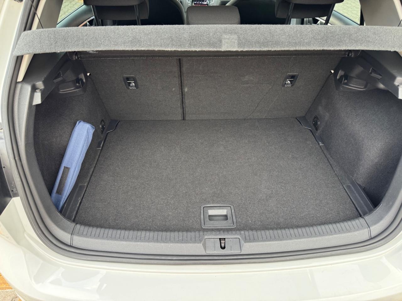 Volkswagen Golf 1.6 TDI 90 CV 5p. Tech&Sound BlueMotion Technology