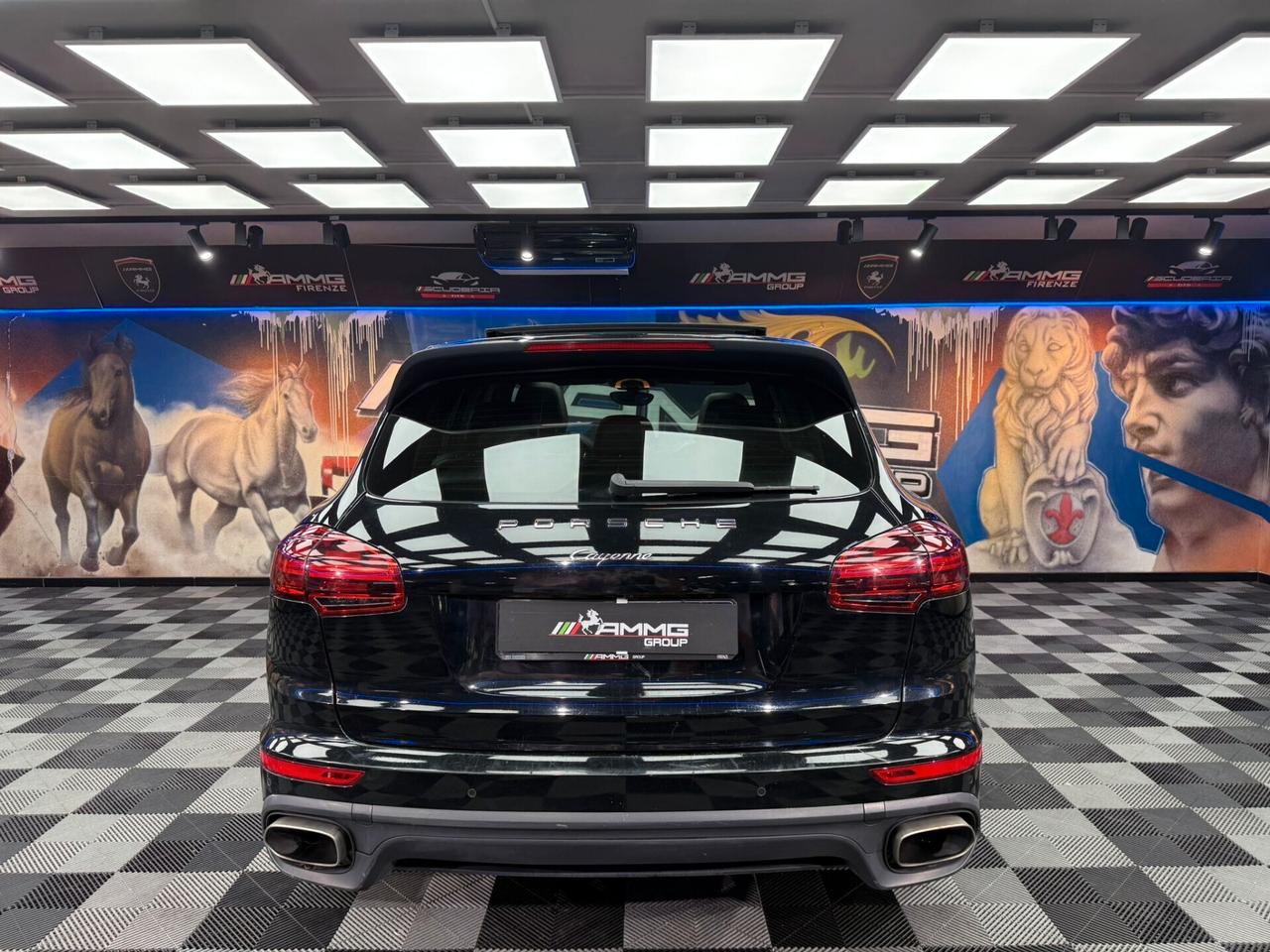 Porsche Cayenne 4.1 S DIESEL PLATINUM EDITION (598)