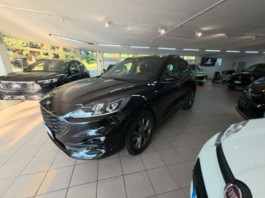 Ford Kuga 1.5 EcoBlue 120 CV 2WD ST-Line MANUALE