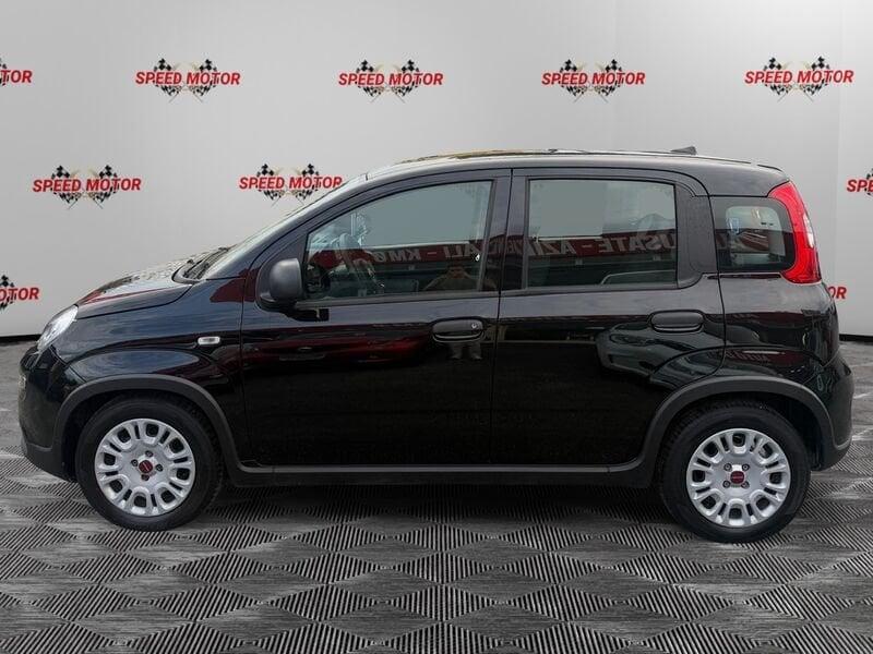 FIAT Panda Panda 1.0 firefly hybrid 70cv 5 POSTI, SENSORI PARCHEGGIO!