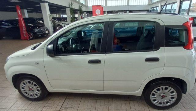 FIAT Panda 1.0 GSE S&S Hybrid Easy Van 4 posti