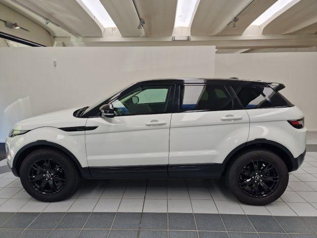 LAND ROVER Range Rover Evoque 2.2 TD4 5p. AWD Pure