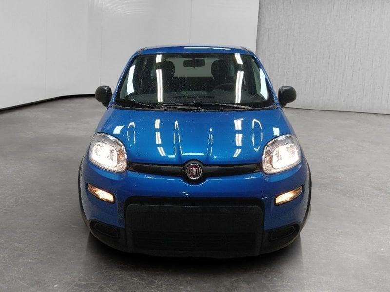 FIAT Panda 1.0 firefly hybrid s&s 70cv