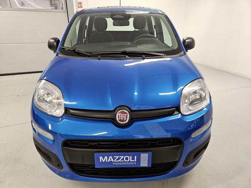 FIAT Panda 1.0 FireFly 70cv S&S Hybrid Pandina