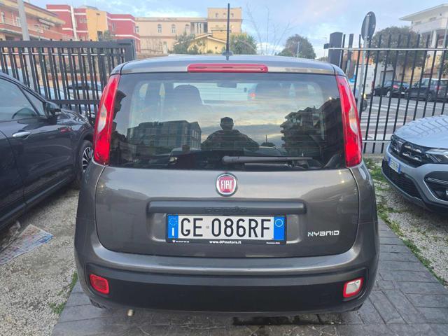 FIAT Panda 1.0 FireFly S&S Hybrid Eas 5 posti no obbligo fina