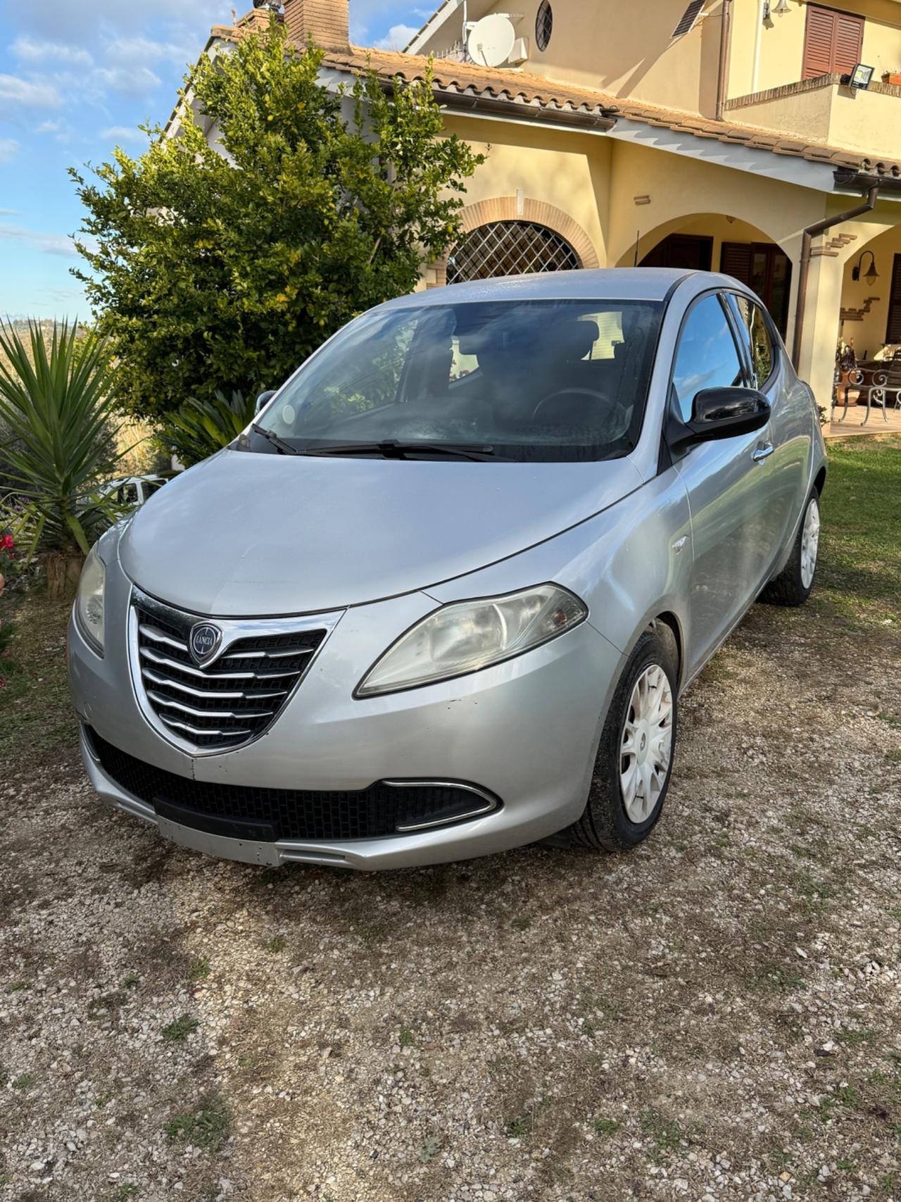 Lancia Ypsilon 1.3 MJT 16V 95 CV 5 porte S&S Platinum