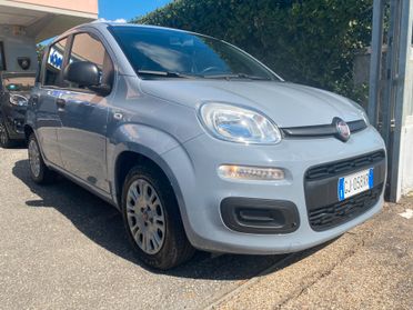 FIAT Panda 1.0 hybrid 5POSTI RadioBT - PREZZO REALE