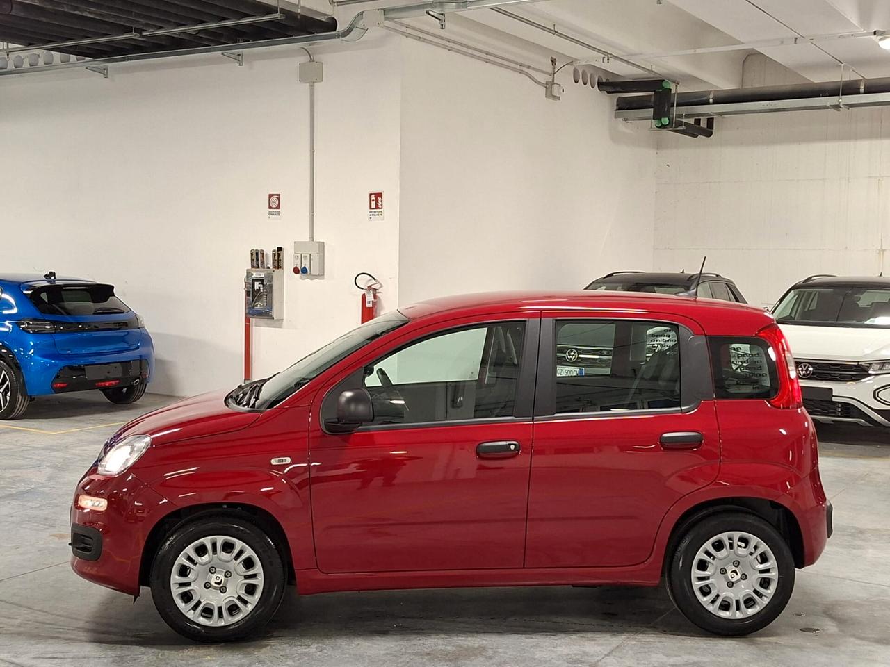 Fiat Panda 1.0 FireFly Hybrid 70CV Icon Km.0 (414)